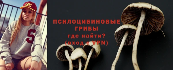 мдпв Волосово